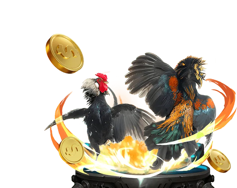 Giao diện cá cược đá gà F1688 Link